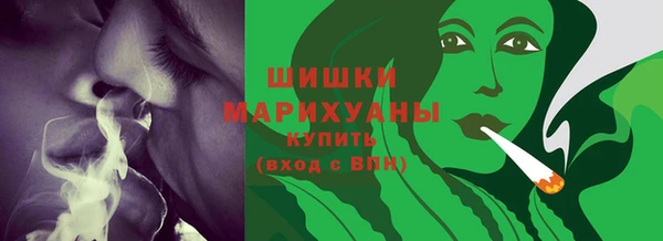 шишки Архангельск