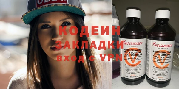 шишки Архангельск