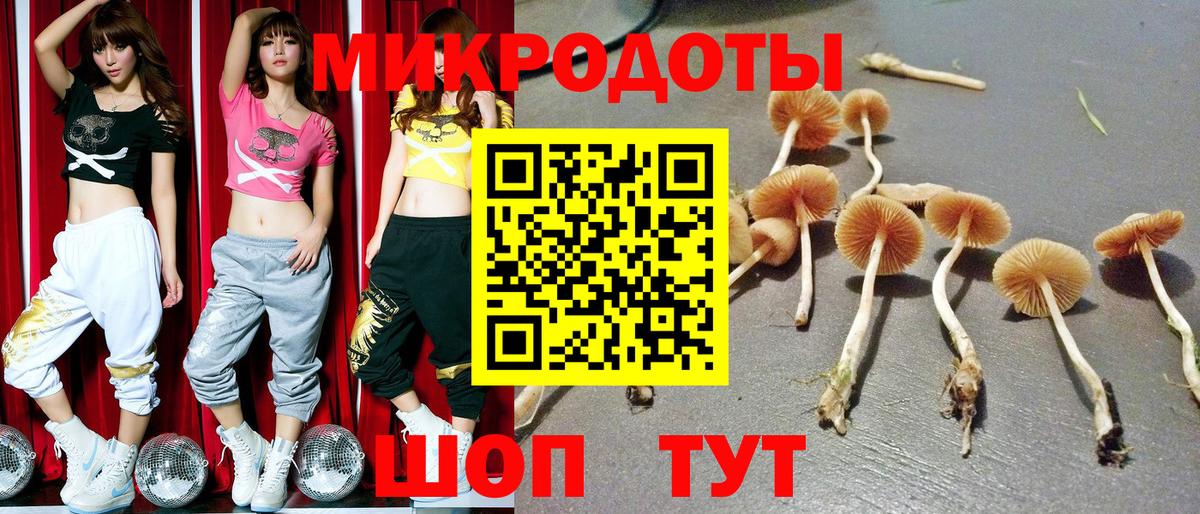 Новокубанск  Галлюциногенные грибы мицелий  Псилоцибиновые грибы Cubensis  Вход с VPN 