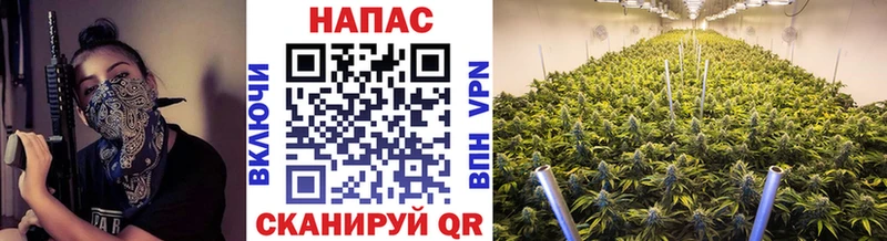 наркотики Новокубанск Шишки марихуана индика